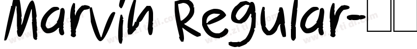 Marvin Regular字体转换